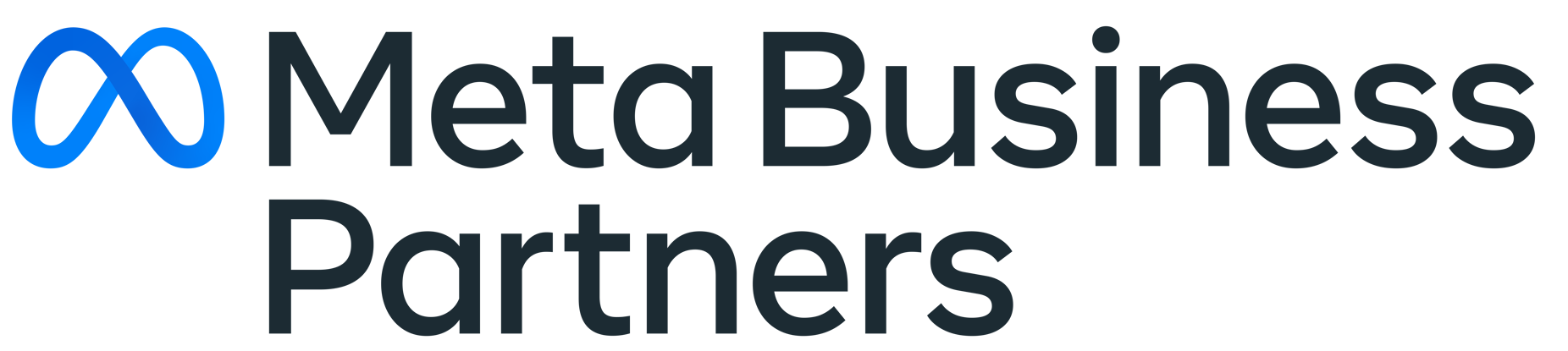 Meta Business Partner